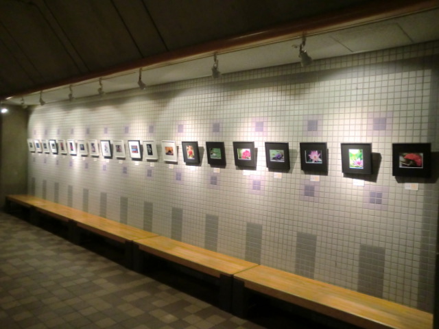 目からウロコの写真教室